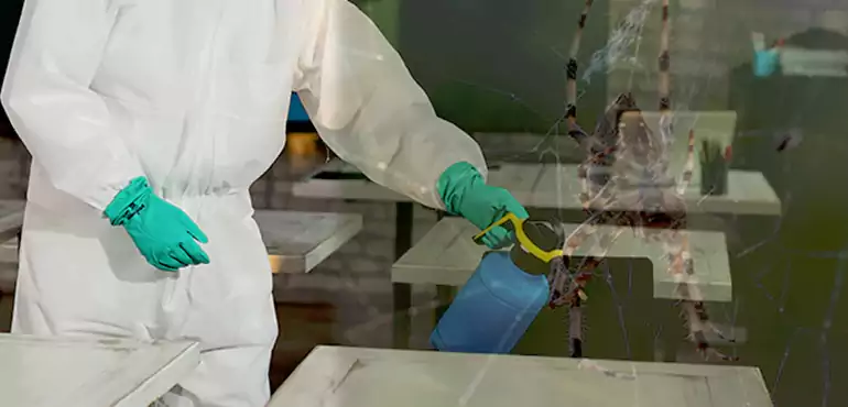 Why Buyers Still Want Homes With Pest Infestations in Anchorage, AK?