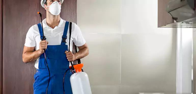 Why Anchorage Homeowners Choose Us When Pests Make Selling Difficult